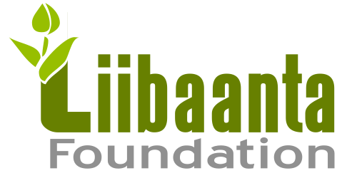 liibaantafoundation.co.uk